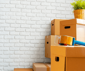 Customized-Moving-Services